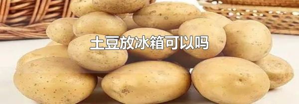 土豆放冰箱可以吗