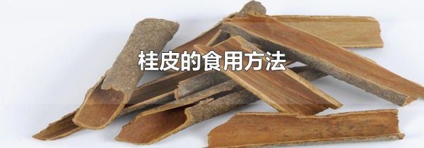 桂皮的食用方法