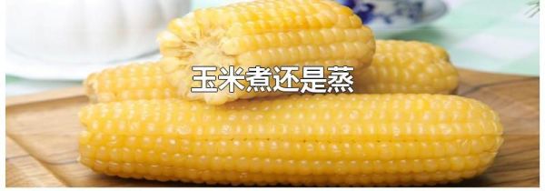 玉米煮还是蒸