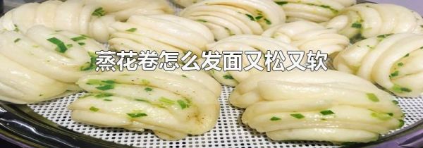 蒸花卷怎么发面又松又软