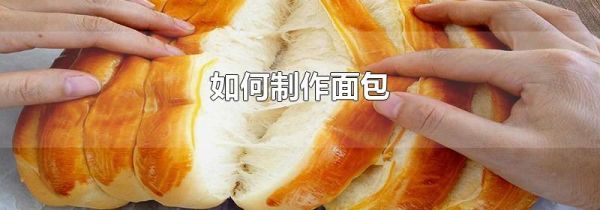 如何制作面包