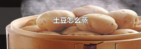 土豆怎么蒸