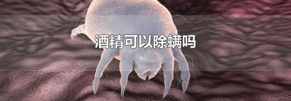酒精可以除螨吗