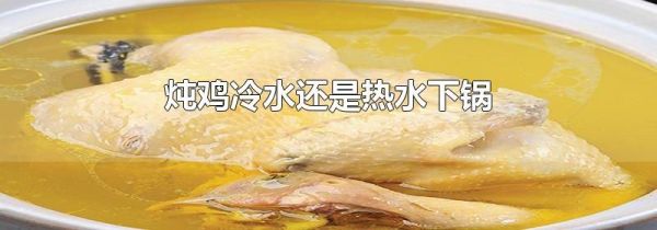 炖鸡冷水还是热水下锅