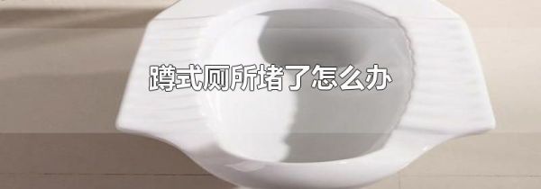 蹲式厕所堵了怎么办