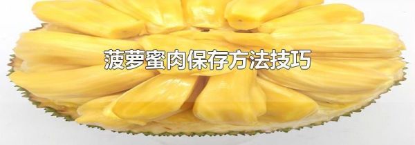 菠萝蜜肉保存方法技巧