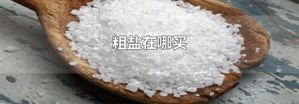 粗盐在哪买