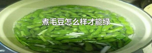 煮毛豆怎么样才能绿