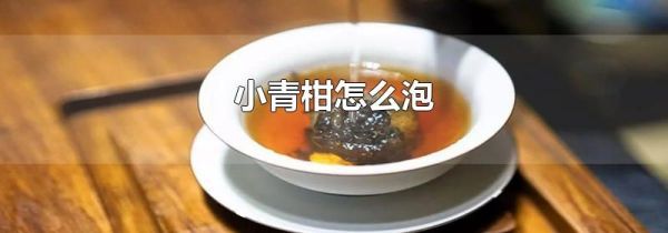 小青柑怎么泡