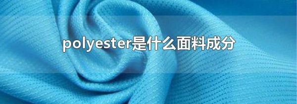 polyester是什么面料成分
