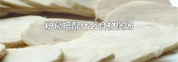 粉葛搭配什么食材煲汤