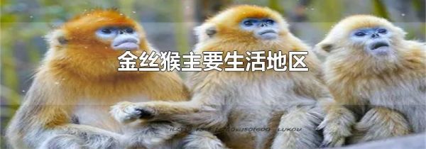 金丝猴主要生活地区