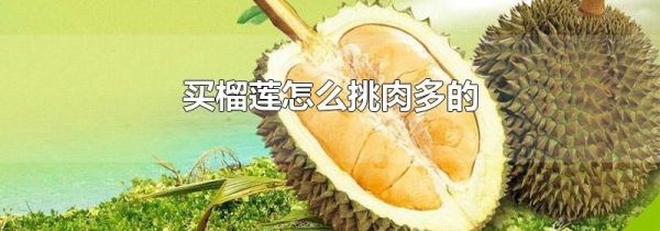 买榴莲怎么挑肉多的
