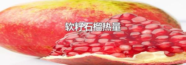 软籽石榴热量