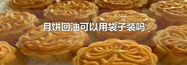 月饼回油可以用袋子装吗