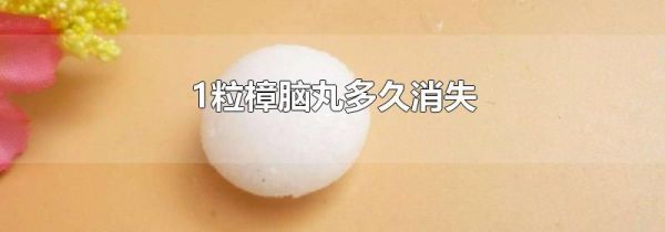 1粒樟脑丸多久消失
