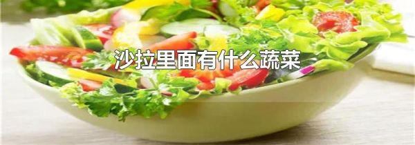 沙拉里面有什么蔬菜