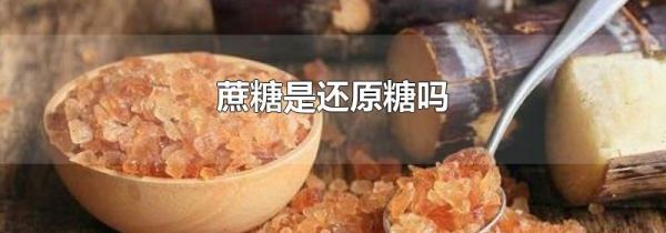 蔗糖是还原糖吗