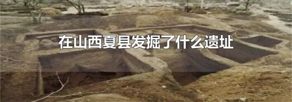 在山西夏县发掘了什么遗址