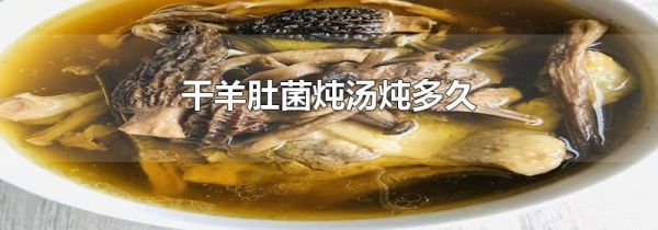 干羊肚菌炖汤炖多久