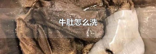 牛肚怎么洗