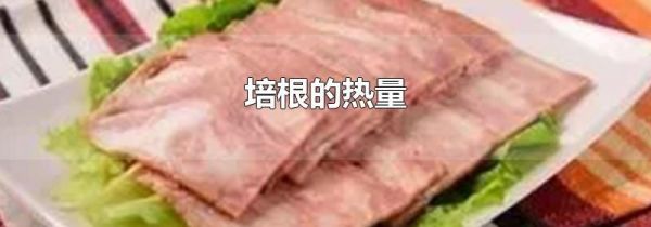 培根的热量