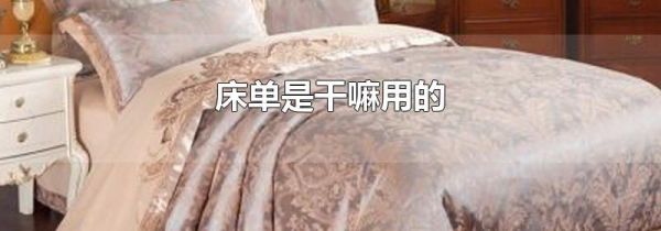 床单是干嘛用的