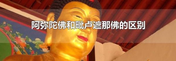 阿弥陀佛和毗卢遮那佛的区别