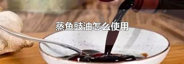 蒸鱼豉油怎么使用