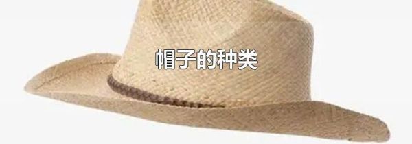 帽子的种类
