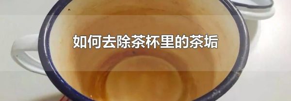 如何去除茶杯里的茶垢