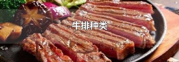 牛排种类