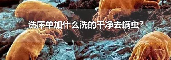 洗床单加什么洗的干净去螨虫?