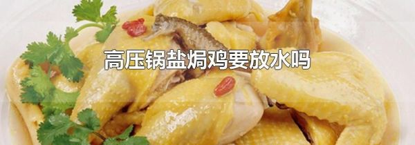 高压锅盐焗鸡要放水吗