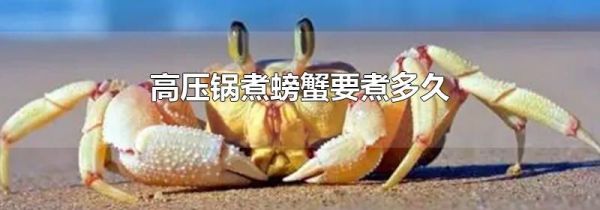 高压锅煮螃蟹要煮多久