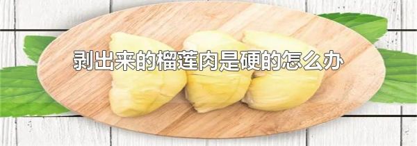 剥出来的榴莲肉是硬的怎么办