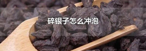 碎银子怎么冲泡