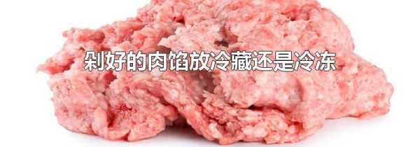 剁好的肉馅放冷藏还是冷冻