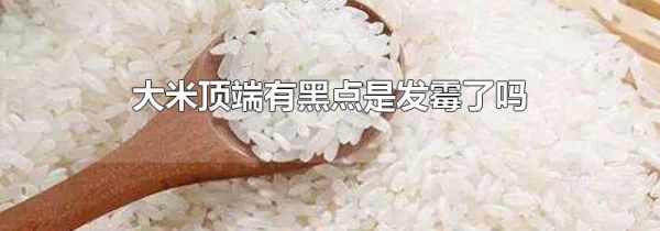大米顶端有黑点是发霉了吗