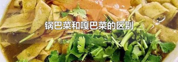 锅巴菜和嘎巴菜的区别
