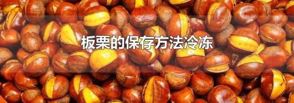 板栗的保存方法冷冻