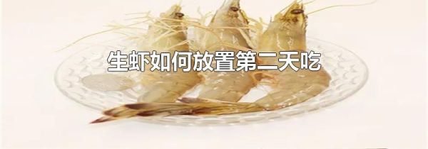 生虾如何放置第二天吃