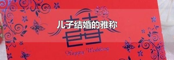 儿子结婚的雅称