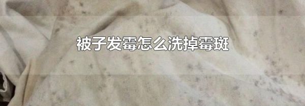 被子发霉怎么洗掉霉斑