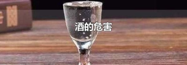 酒的危害