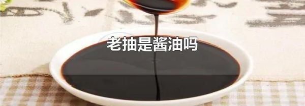 老抽是酱油吗