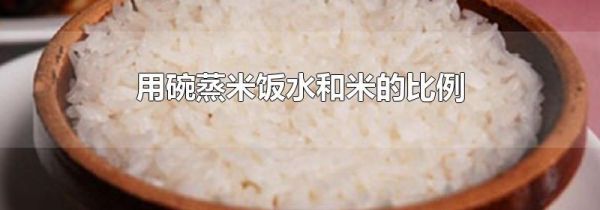 用碗蒸米饭水和米的比例