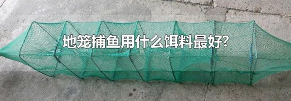 地笼捕鱼用什么饵料最好?