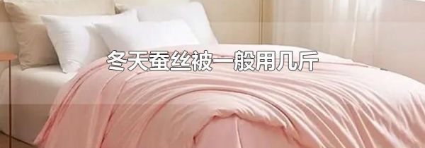 冬天蚕丝被一般用几斤