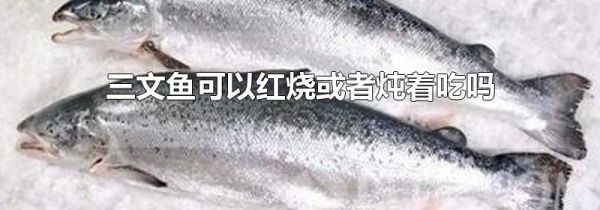 三文鱼可以红烧或者炖着吃吗